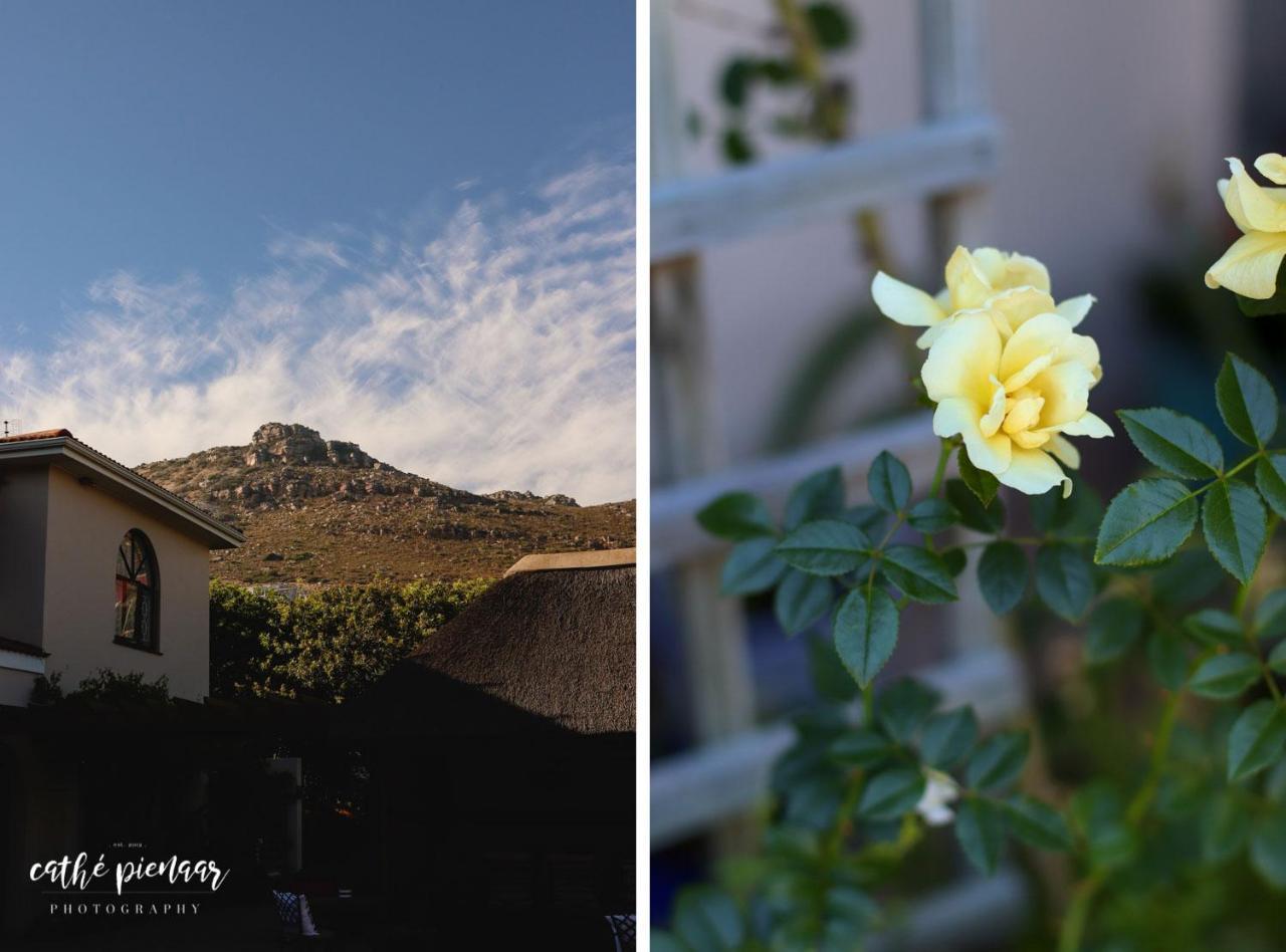 A Tuscan Villa Guest House Fish Hoek Ngoại thất bức ảnh